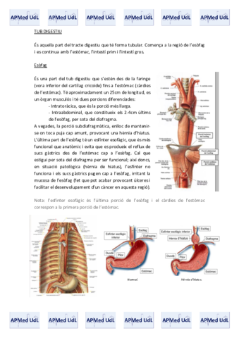14 (IV). Sistema digestiu.pdf