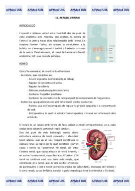 16 (I). Aparell urinari.pdf