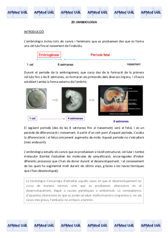 20 (I). Embriologia.pdf