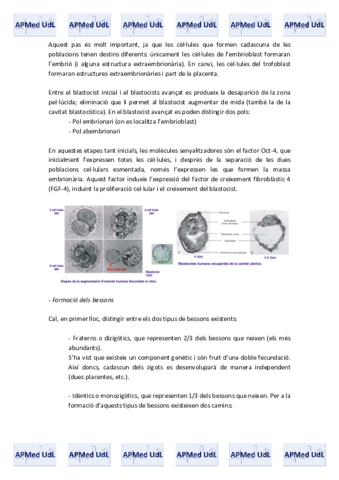20 (II). Embriologia.pdf