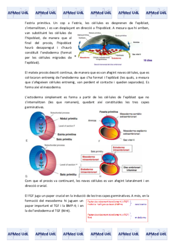 20 (III). Embriologia.pdf