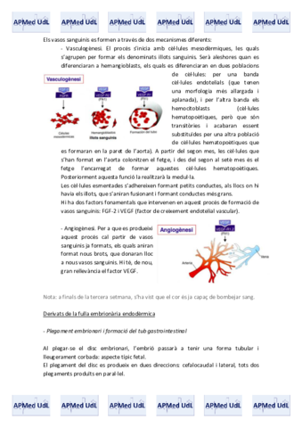 20 (IV). Embriologia.pdf