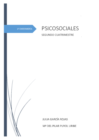 PSICOSOCIALES-APUNTES.pdf