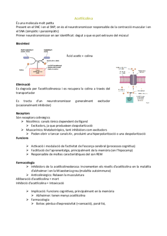 Tema-6.pdf