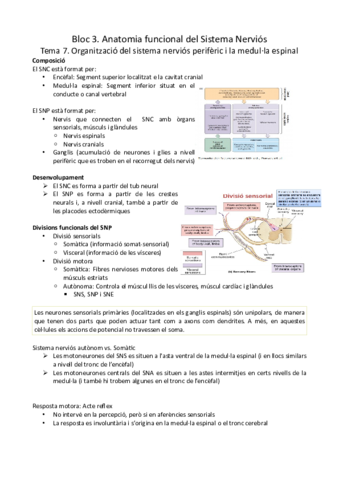 Tema-7-i-8.pdf