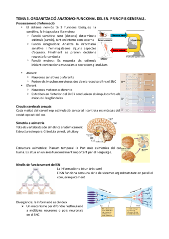 Tema-3.pdf