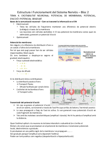 Tema-4-i-5.pdf