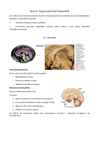 Tema-9-i-10.pdf