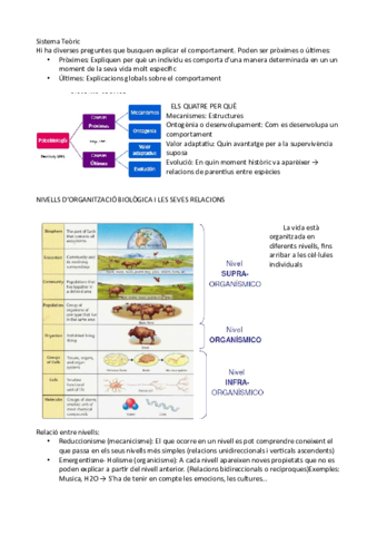 Tema-1-p-3.pdf