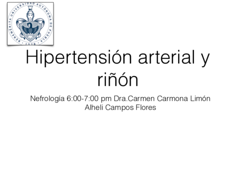 Hipertension-y-rinon5.pdf