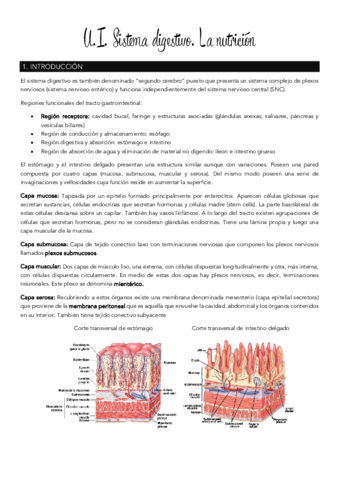 Tema-1-sistema-digestivo.pdf