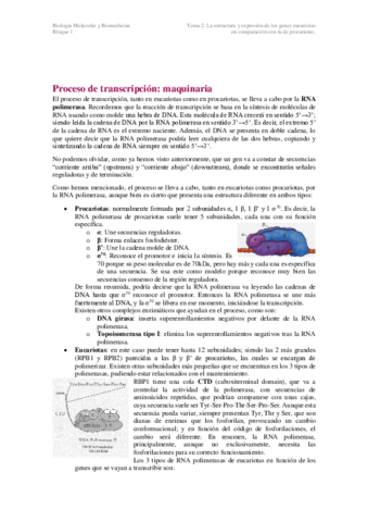 T2.pdf