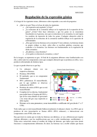 Resumen-1.pdf
