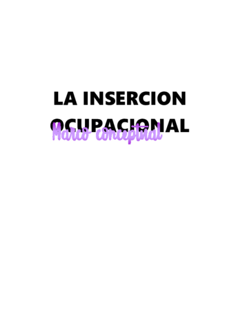 la-insercion-ocupacional.pdf