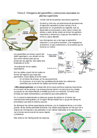 Tema-2.pdf