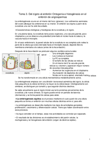 Tema-3.pdf