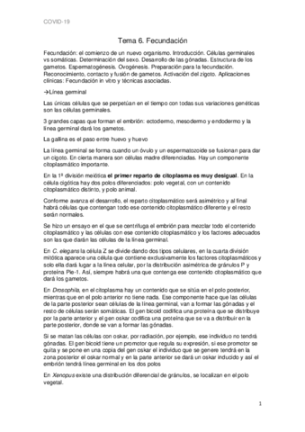 Tema-6-apuntes.pdf