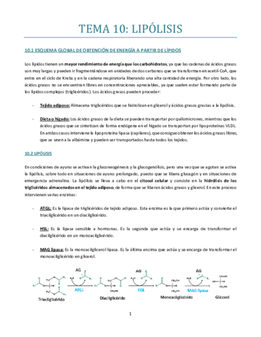 TEMA-10-bueno.pdf
