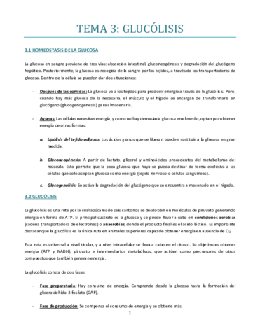 TEMA-3-bueno.pdf