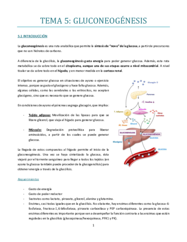 TEMA-5.pdf