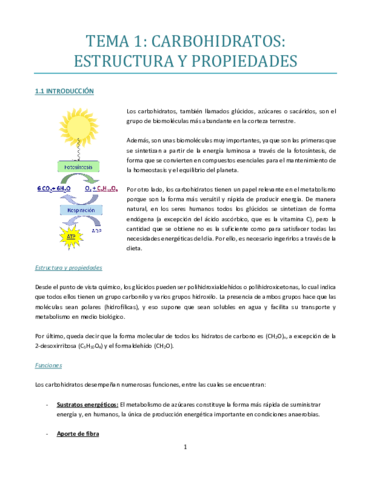 TEMA-1-buenooo.pdf