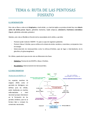 TEMA-6.pdf