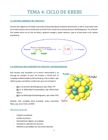 TEMA-4-bueno.pdf
