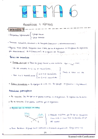 Tema-6-organica-II.pdf