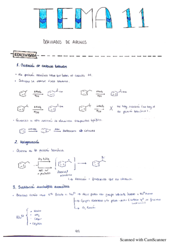 Tema-11-organica-II.pdf