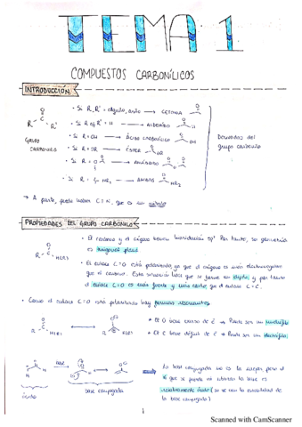 Tema-1-organica-II.pdf