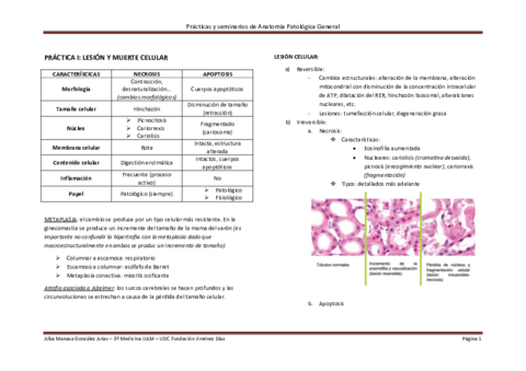 PRACTICA.pdf