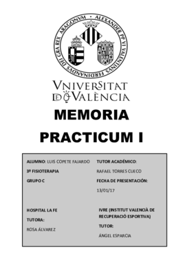Memoria Practicum PDF.pdf