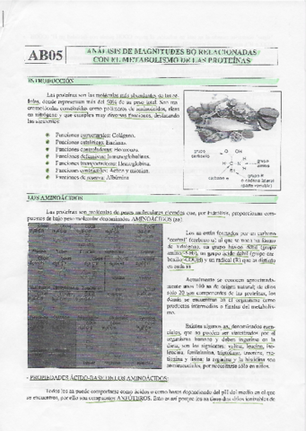 T5.pdf
