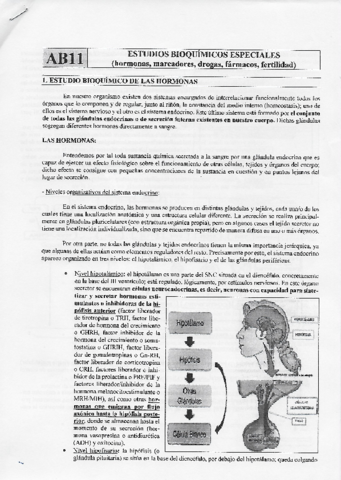 T11.pdf