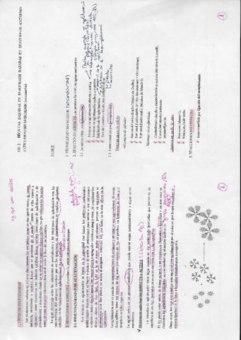 T2.pdf
