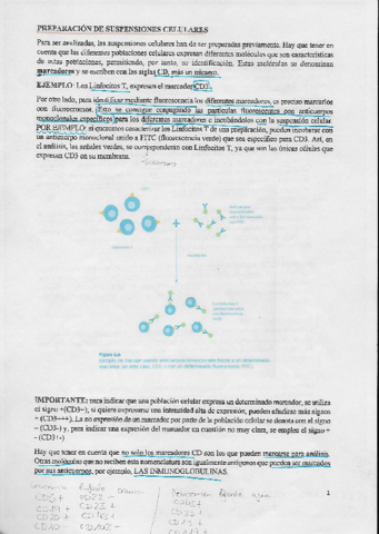 ANEXO-T4.pdf