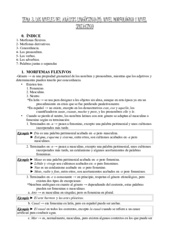 Tema-3-Los-niveles-de-analisis-linguistico-II.pdf