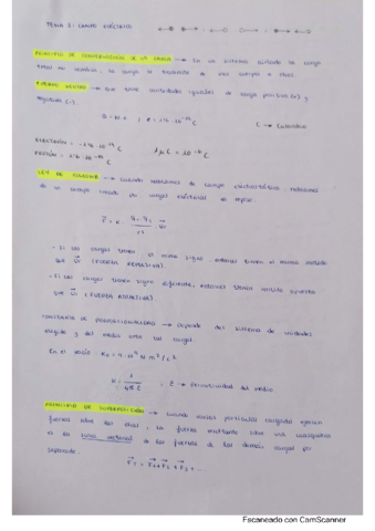 CAMPO-ELECTRICO.pdf