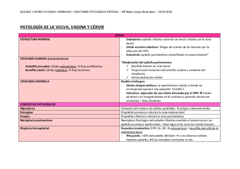 BLOQUE-1-APARATO-GENITAL-FEMENINO.pdf