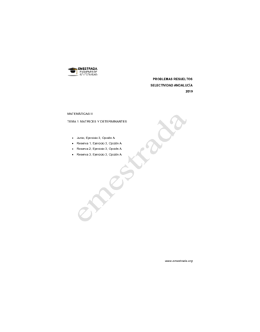 MATRICESPAU2019.pdf