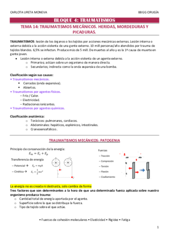 apuntesbasescarlota4.pdf