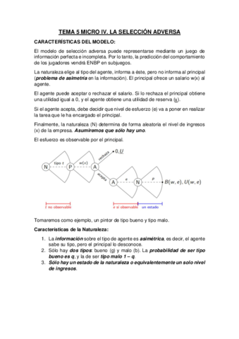 TEMA-5-MICRO-IV.pdf