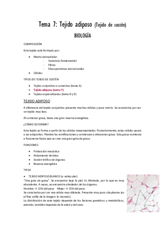 Tema 7 tejido adiposo PDF.pdf