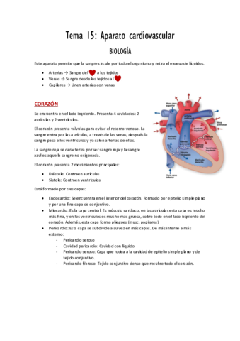 Tema 15 Aparato cardiovascular.pdf