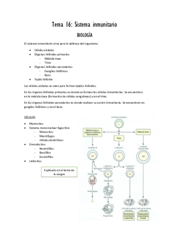 tema 16 Sistema inmunitario PDF.pdf