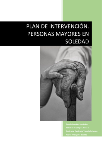 Plan-de-intervencion.pdf