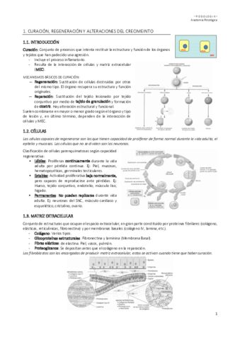 Anatomia-Patologica.pdf