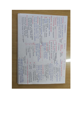 TEORIA-PAU-ECONOMIA.pdf