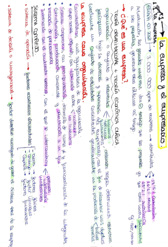 tema1gestionde-empresa.pdf