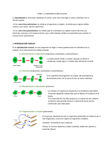 La-reproduccion-celular.pdf